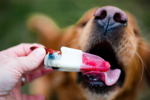 4th of July Dog Treats